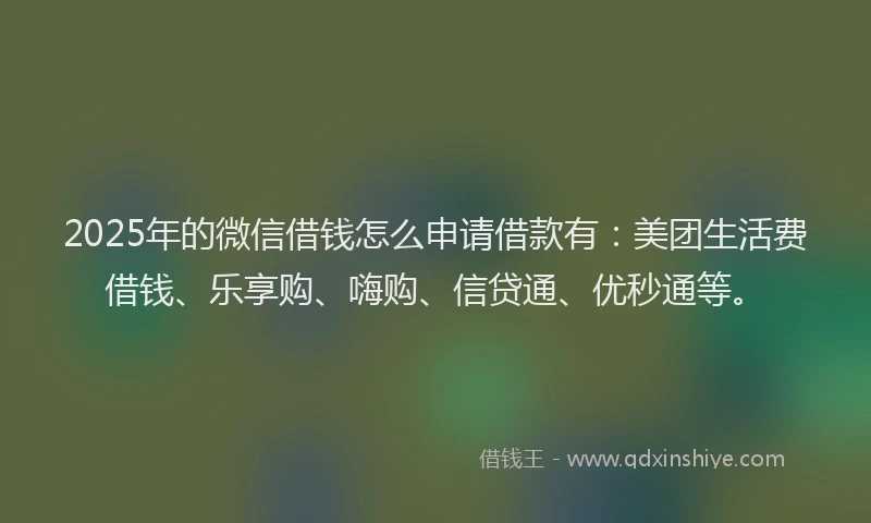 2025年的微信借钱怎么申请借款有：美团生活费借钱、乐享购、嗨购、信贷通、优秒通等。