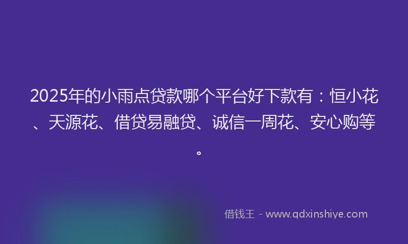 2025年的小雨点贷款哪个平台好下款有：恒小花、天源花、借贷易融贷、诚信一周花、安心购等。