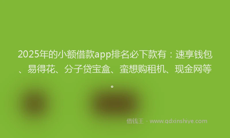 2025年的小额借款app排名必下款有：速享钱包、易得花、分子贷宝盒、蛮想购租机、现金网等。