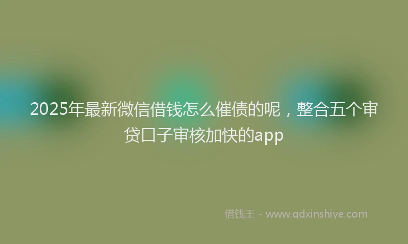 2025年最新微信借钱怎么催债的呢，整合五个审贷口子审核加快的app