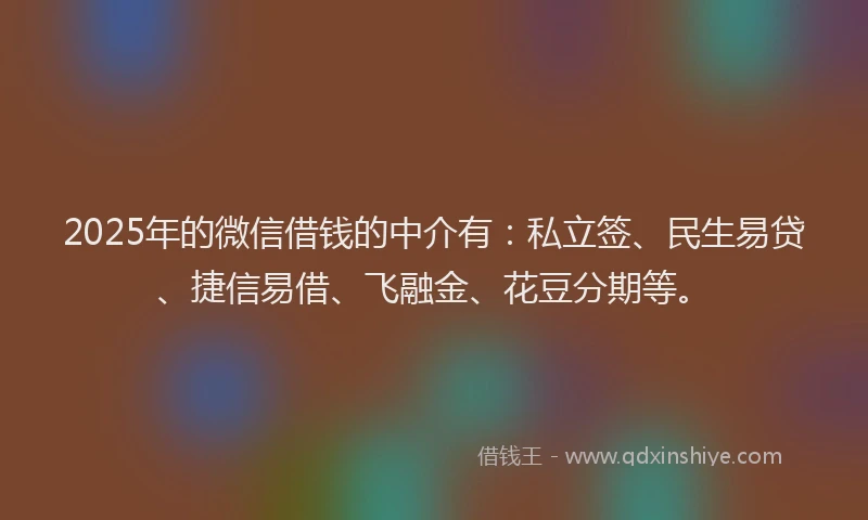 2025年的微信借钱的中介有：私立签、民生易贷、捷信易借、飞融金、花豆分期等。