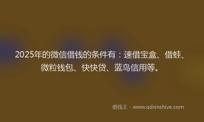 2025年的微信借钱的条件有：速借宝盒、借蛙、微粒钱包、快快贷、蓝鸟信用等。