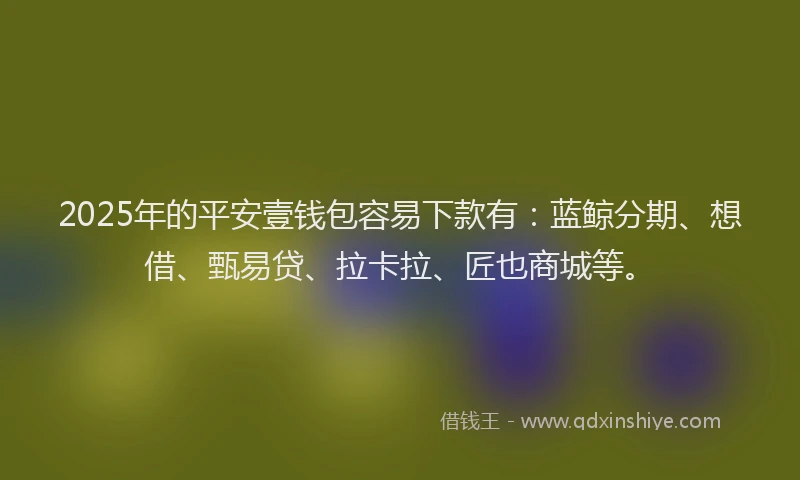 2025年的平安壹钱包容易下款有：蓝鲸分期、想借、甄易贷、拉卡拉、匠也商城等。