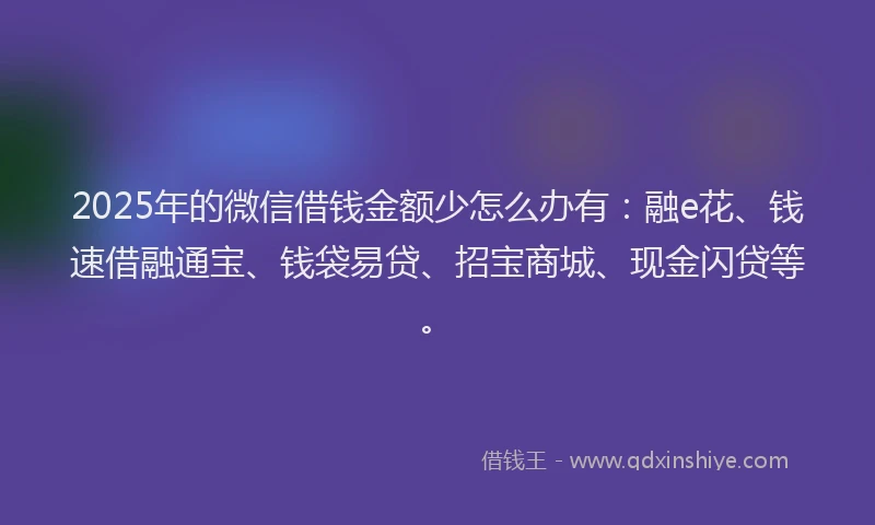 2025年的微信借钱金额少怎么办有：融e花、钱速借融通宝、钱袋易贷、招宝商城、现金闪贷等。
