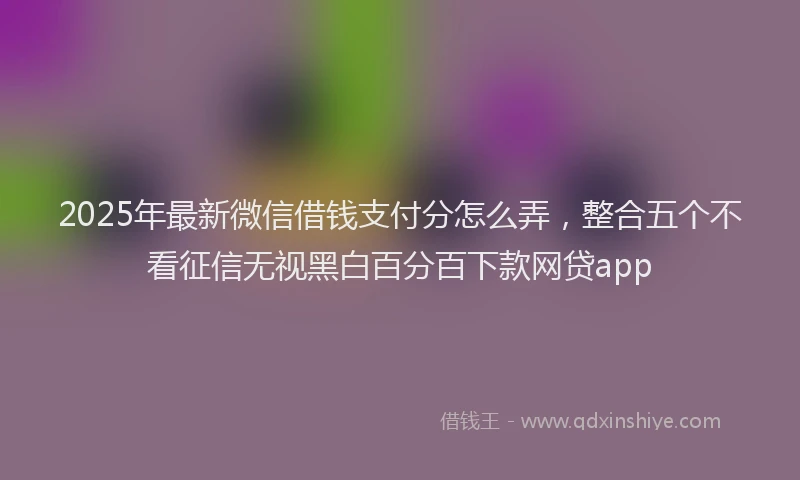 2025年最新微信借钱支付分怎么弄，整合五个不看征信无视黑白百分百下款网贷app
