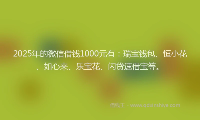 2025年的微信借钱1000元有：瑞宝钱包、恒小花、如心来、乐宝花、闪贷速借宝等。