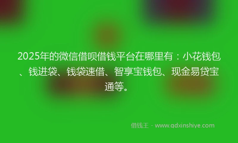 2025年的微信借呗借钱平台在哪里有：小花钱包、钱进袋、钱袋速借、智享宝钱包、现金易贷宝通等。