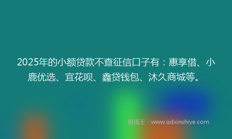 2025年的小额贷款不查征信口子有：惠享借、小鹿优选、宜花呗、鑫贷钱包、沐久商城等。