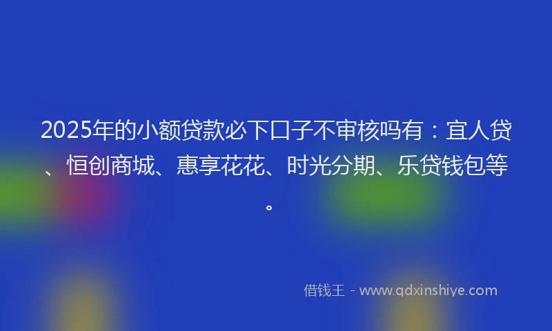2025年的小额贷款必下口子不审核吗有：宜人贷、恒创商城、惠享花花、时光分期、乐贷钱包等。