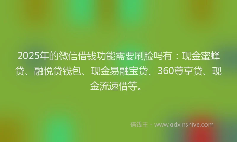 2025年的微信借钱功能需要刷脸吗有：现金蜜蜂贷、融悦贷钱包、现金易融宝贷、360尊享贷、现金流速借等。
