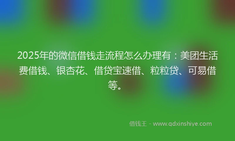 2025年的微信借钱走流程怎么办理有：美团生活费借钱、银杏花、借贷宝速借、粒粒贷、可易借等。