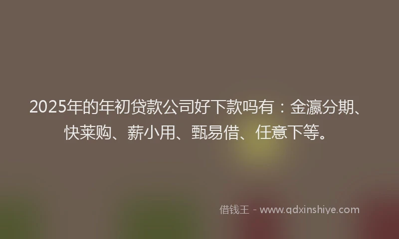 2025年的年初贷款公司好下款吗有：金瀛分期、快莱购、薪小用、甄易借、任意下等。