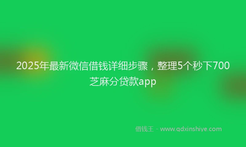 2025年最新微信借钱详细步骤，整理5个秒下700芝麻分贷款app