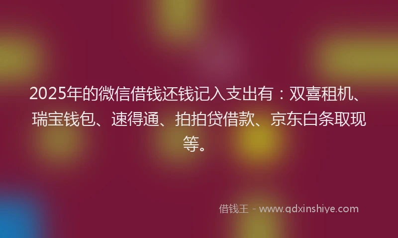 2025年的微信借钱还钱记入支出有：双喜租机、瑞宝钱包、速得通、拍拍贷借款、京东白条取现等。