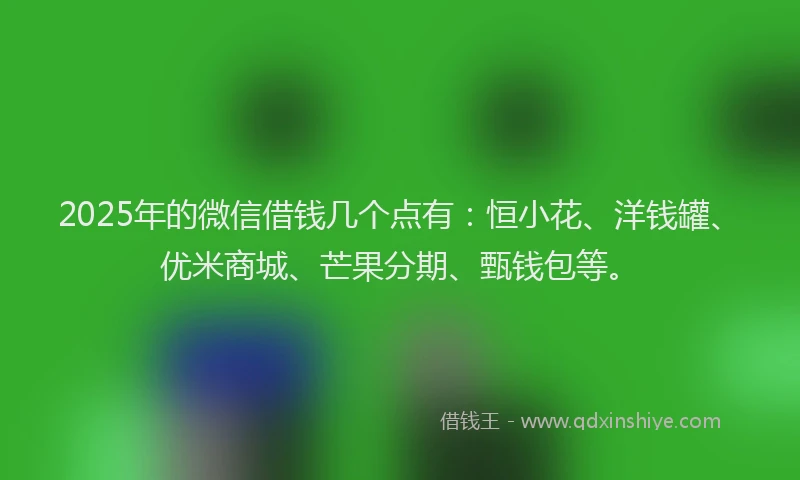 2025年的微信借钱几个点有：恒小花、洋钱罐、优米商城、芒果分期、甄钱包等。