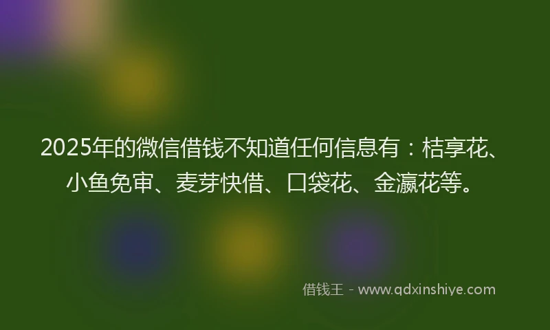 2025年的微信借钱不知道任何信息有：桔享花、小鱼免审、麦芽快借、口袋花、金瀛花等。