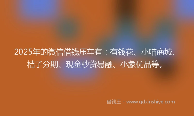 2025年的微信借钱压车有：有钱花、小喵商城、桔子分期、现金秒贷易融、小象优品等。