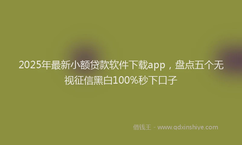 2025年最新小额贷款软件下载app，盘点五个无视征信黑白100%秒下口子