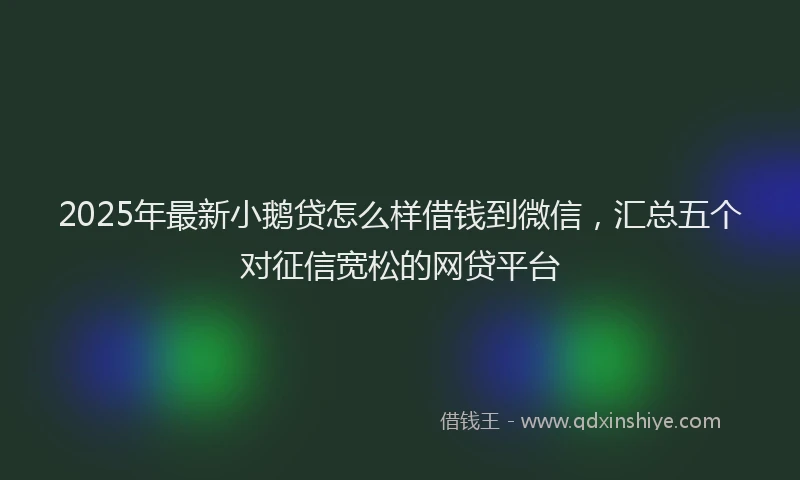 2025年最新小鹅贷怎么样借钱到微信，汇总五个对征信宽松的网贷平台
