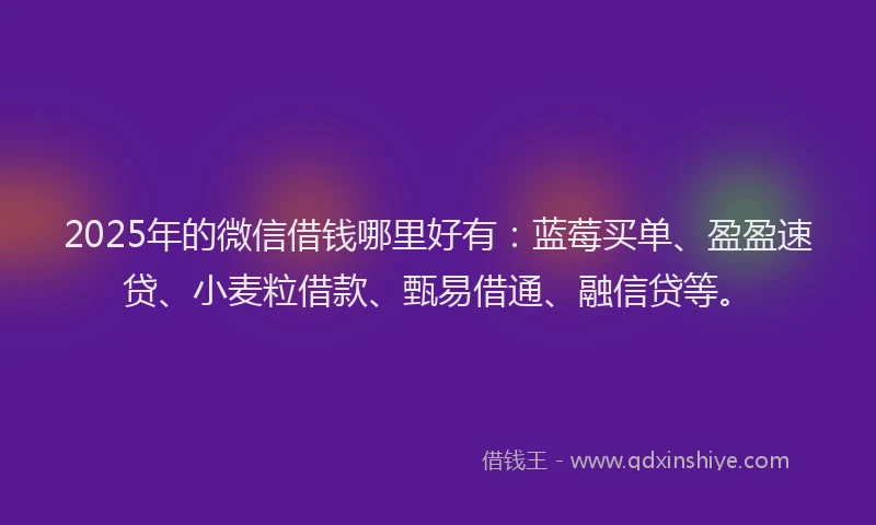 2025年的微信借钱哪里好有：蓝莓买单、盈盈速贷、小麦粒借款、甄易借通、融信贷等。