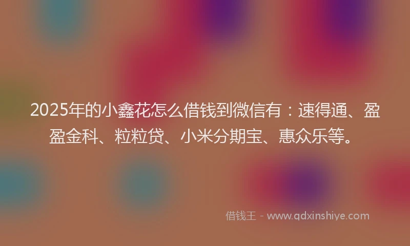 2025年的小鑫花怎么借钱到微信有：速得通、盈盈金科、粒粒贷、小米分期宝、惠众乐等。