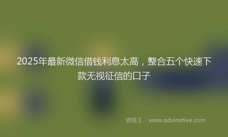 2025年最新微信借钱利息太高，整合五个快速下款无视征信的口子