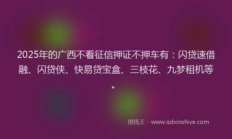 2025年的广西不看征信押证不押车有：闪贷速借融、闪贷侠、快易贷宝盒、三枝花、九梦租机等。
