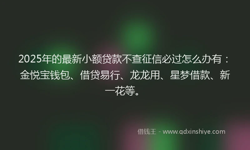 2025年的最新小额贷款不查征信必过怎么办有：金悦宝钱包、借贷易行、龙龙用、星梦借款、新一花等。