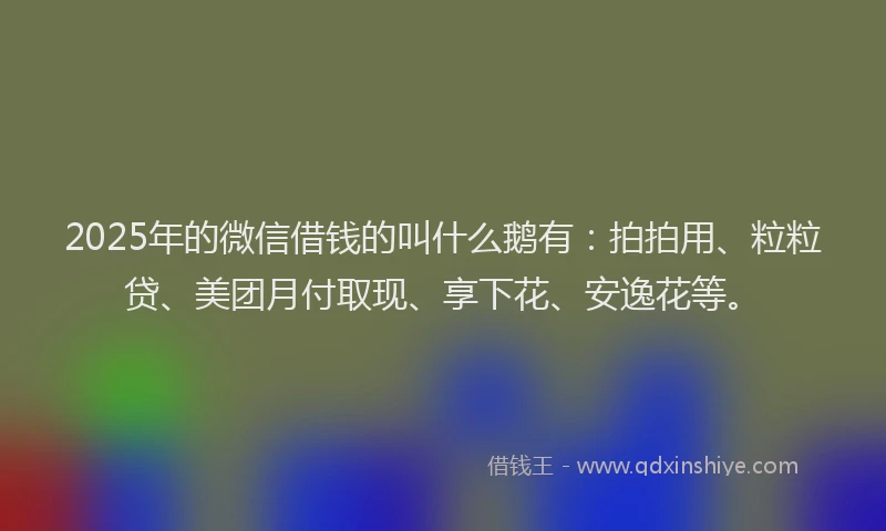 2025年的微信借钱的叫什么鹅有：拍拍用、粒粒贷、美团月付取现、享下花、安逸花等。