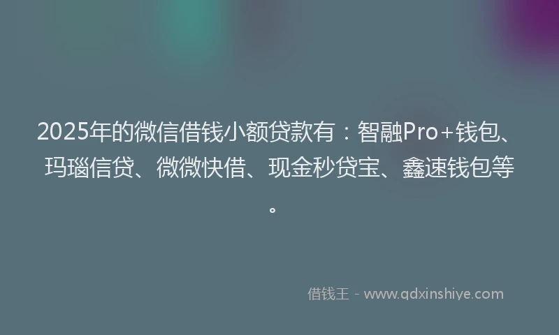 2025年的微信借钱小额贷款有：智融Pro+钱包、玛瑙信贷、微微快借、现金秒贷宝、鑫速钱包等。