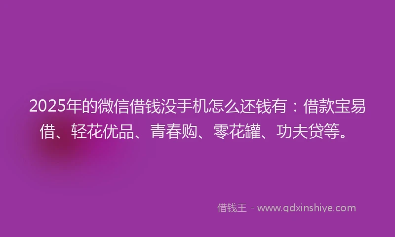 2025年的微信借钱没手机怎么还钱有：借款宝易借、轻花优品、青春购、零花罐、功夫贷等。