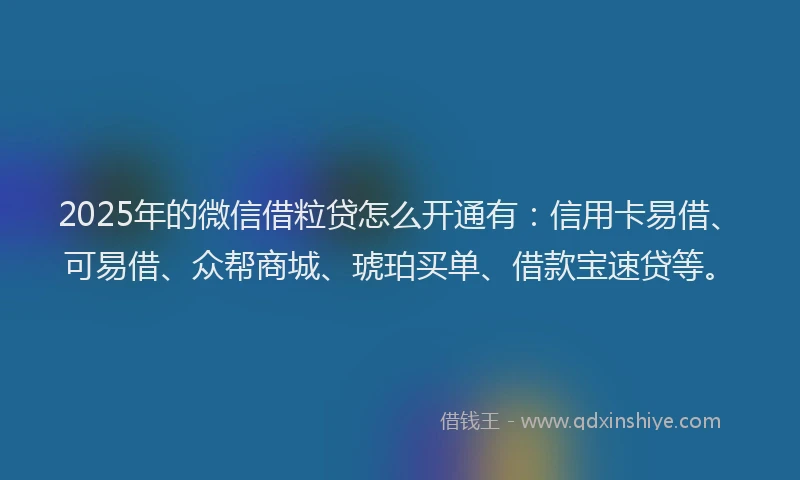 2025年的微信借粒贷怎么开通有：信用卡易借、可易借、众帮商城、琥珀买单、借款宝速贷等。