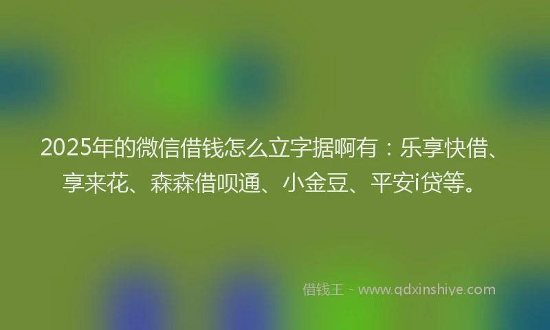 2025年的微信借钱怎么立字据啊有：乐享快借、享来花、森森借呗通、小金豆、平安i贷等。
