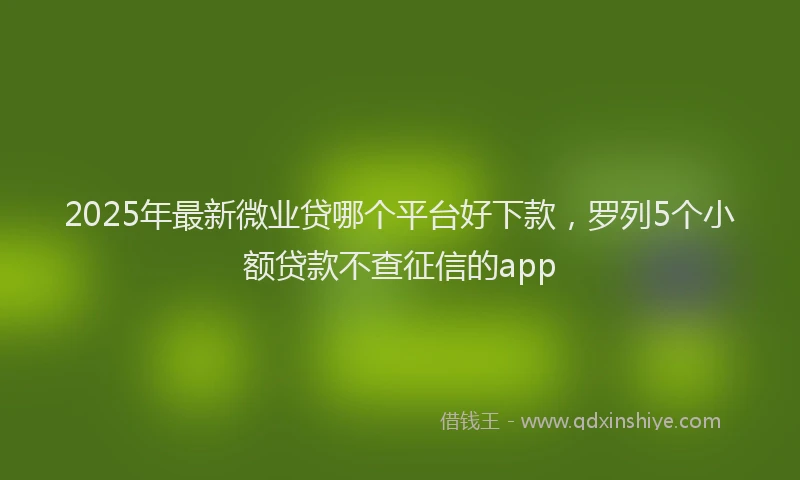 2025年最新微业贷哪个平台好下款，罗列5个小额贷款不查征信的app