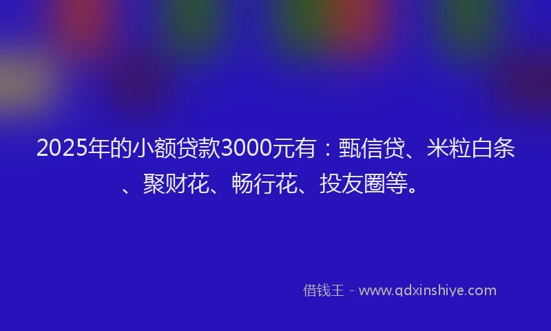 2025年的小额贷款3000元有：甄信贷、米粒白条、聚财花、畅行花、投友圈等。
