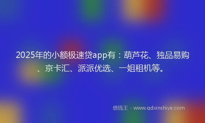 2025年的小额极速贷app有：葫芦花、独品易购、京卡汇、派派优选、一姐租机等。