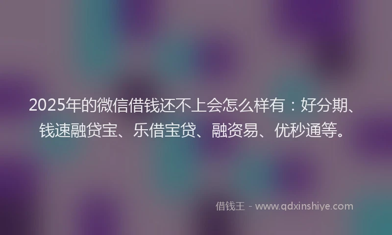2025年的微信借钱还不上会怎么样有：好分期、钱速融贷宝、乐借宝贷、融资易、优秒通等。