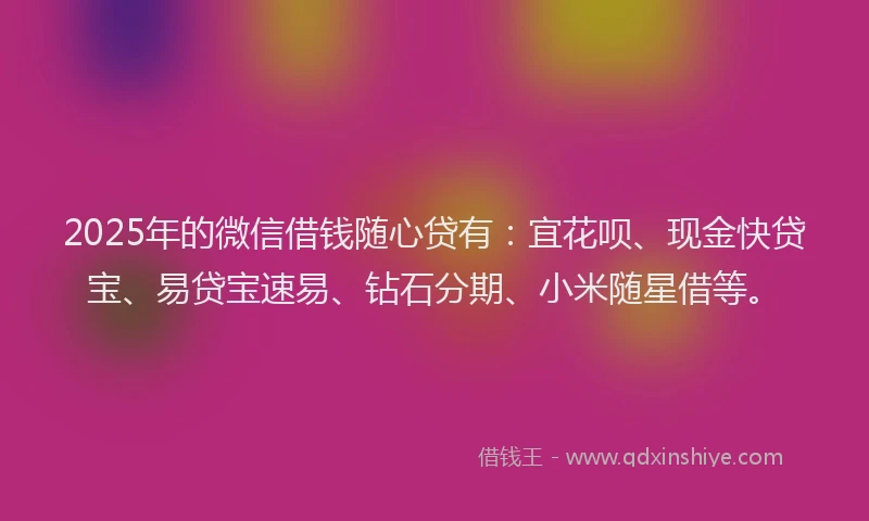 2025年的微信借钱随心贷有：宜花呗、现金快贷宝、易贷宝速易、钻石分期、小米随星借等。