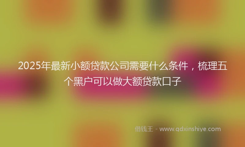 2025年最新小额贷款公司需要什么条件，梳理五个黑户可以做大额贷款口子