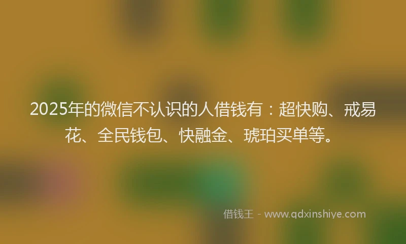 2025年的微信不认识的人借钱有：超快购、戒易花、全民钱包、快融金、琥珀买单等。