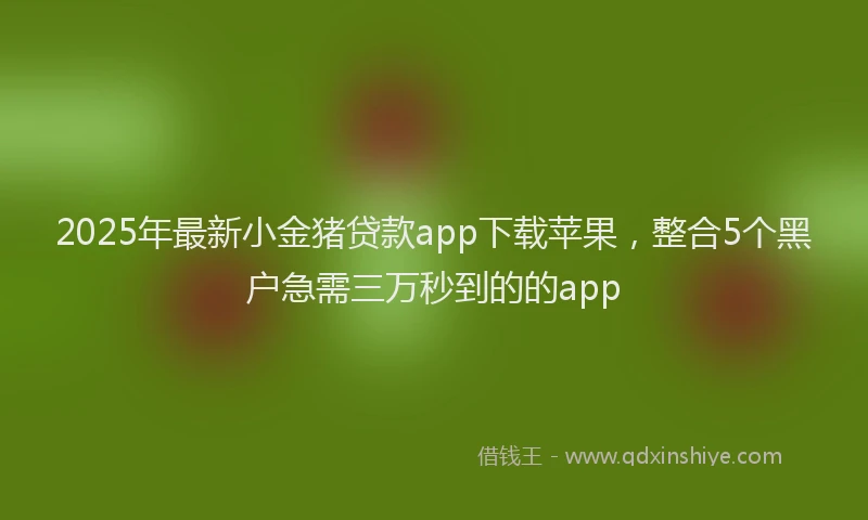2025年最新小金猪贷款app下载苹果，整合5个黑户急需三万秒到的的app