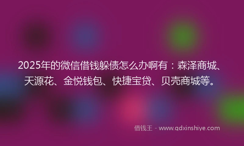 2025年的微信借钱躲债怎么办啊有：森泽商城、天源花、金悦钱包、快捷宝贷、贝壳商城等。
