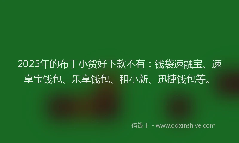 2025年的布丁小货好下款不有：钱袋速融宝、速享宝钱包、乐享钱包、租小新、迅捷钱包等。