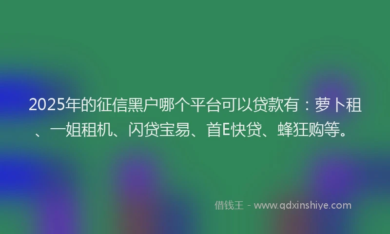 2025年的征信黑户哪个平台可以贷款有：萝卜租、一姐租机、闪贷宝易、首E快贷、蜂狂购等。
