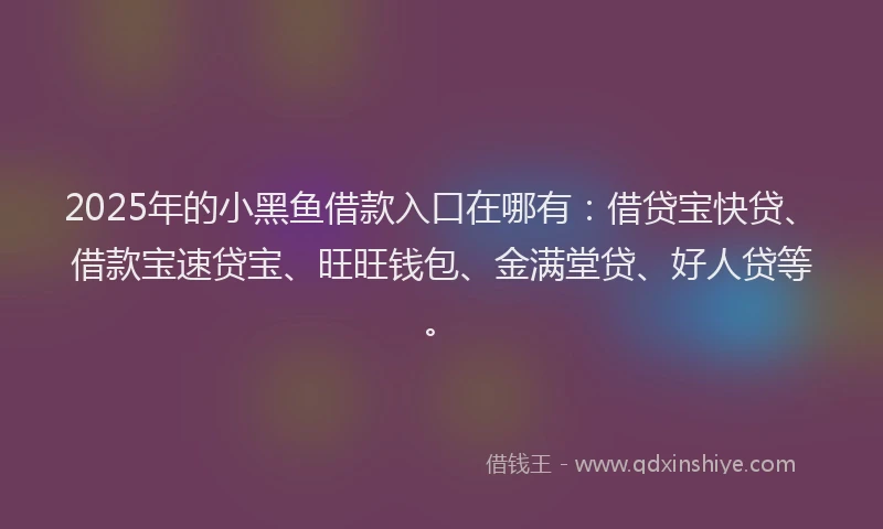 2025年的小黑鱼借款入口在哪有：借贷宝快贷、借款宝速贷宝、旺旺钱包、金满堂贷、好人贷等。