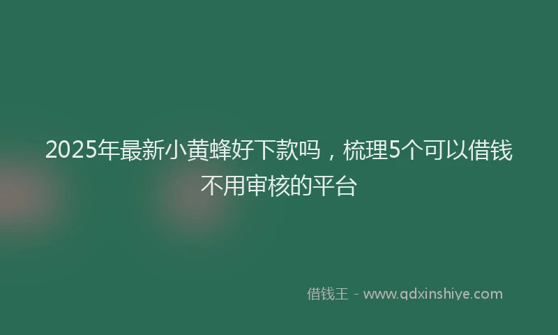 2025年最新小黄蜂好下款吗，梳理5个可以借钱不用审核的平台