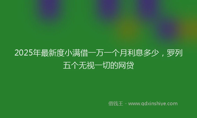 2025年最新度小满借一万一个月利息多少，罗列五个无视一切的网贷