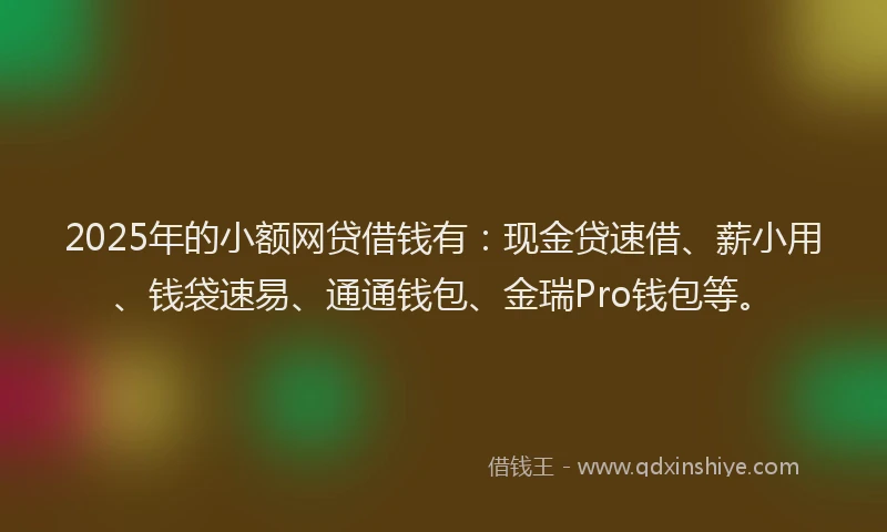 2025年的小额网贷借钱有：现金贷速借、薪小用、钱袋速易、通通钱包、金瑞Pro钱包等。