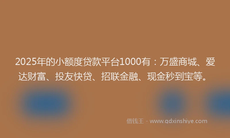2025年的小额度贷款平台1000有：万盛商城、爱达财富、投友快贷、招联金融、现金秒到宝等。