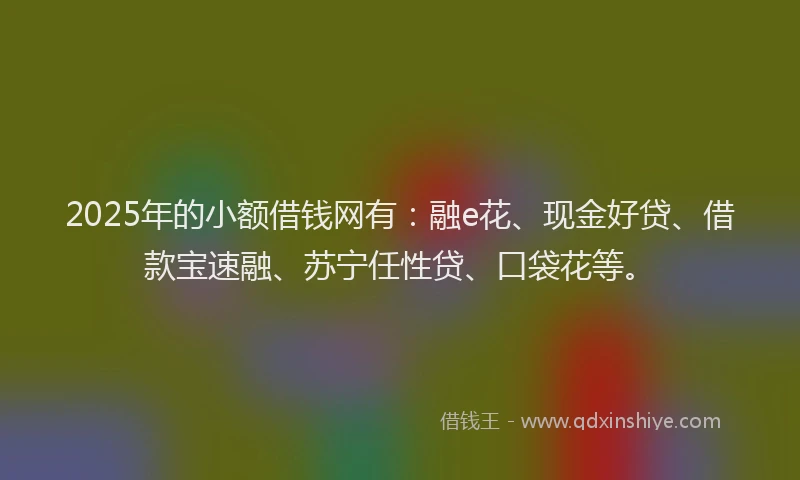 2025年的小额借钱网有：融e花、现金好贷、借款宝速融、苏宁任性贷、口袋花等。